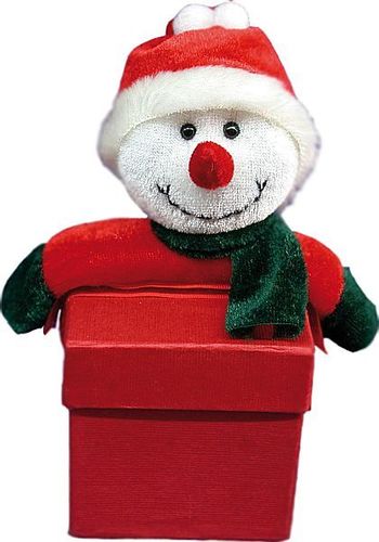 Weihnachtsbox -  Schneemann Box Weihnachten