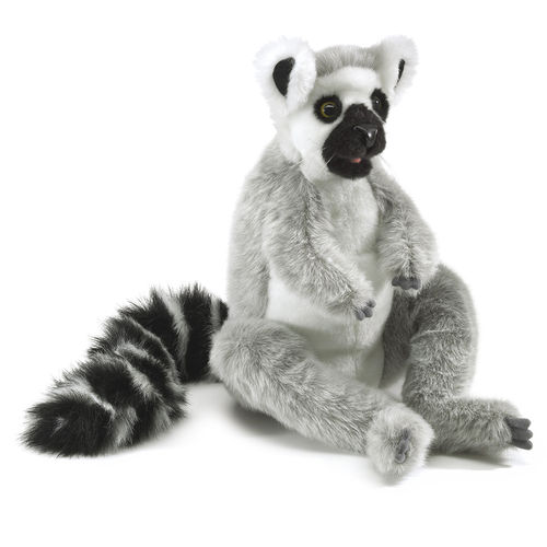 Katta - Lemur - Madagaskar
